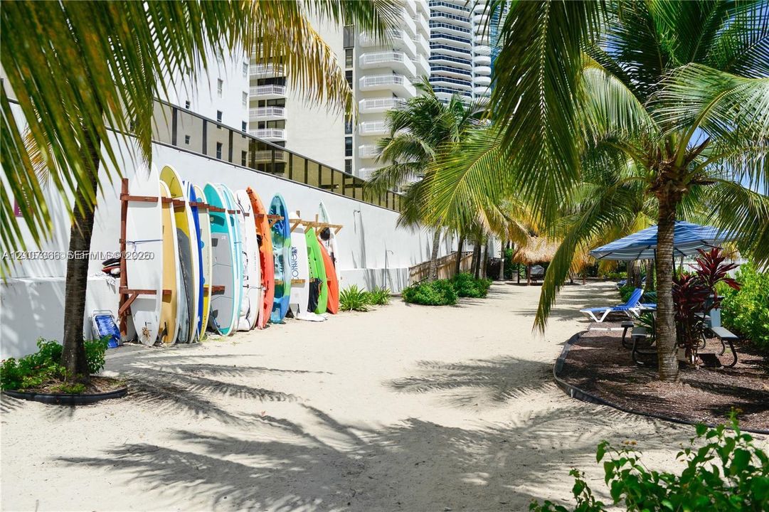 Sandy beachfront grounds featuring mature palm trees, custom built-in surfboard storage rack, and exterior privacy wall