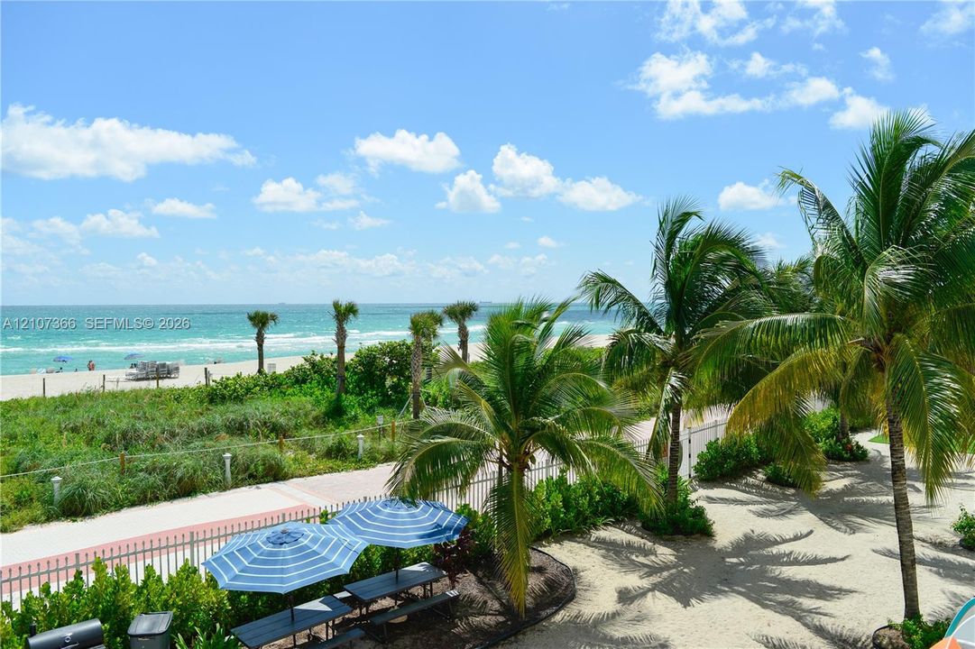 Oceanfront outdoor space featuring sandy ground, mature palm trees, and a perimeter metal fence