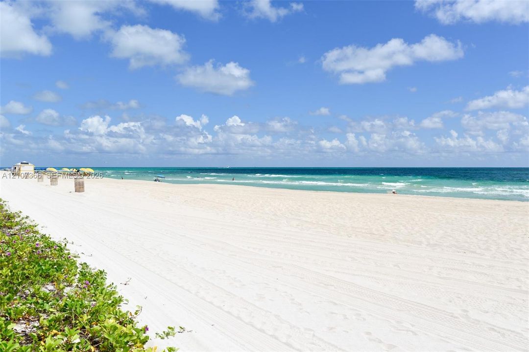 White sand coastline featuring manicured tropical vegetation and direct ocean access