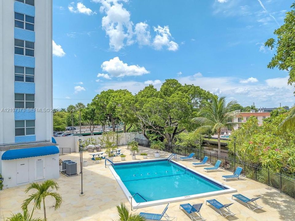Rectangular swimming pool with light-toned stone decking, enclosed by metal fencing and surrounded by mature trees and palm foliage