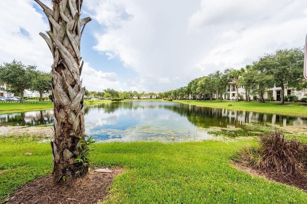 Waterfront setting featuring a central pond, manicured turf, mature palm trees, and native landscape plantings