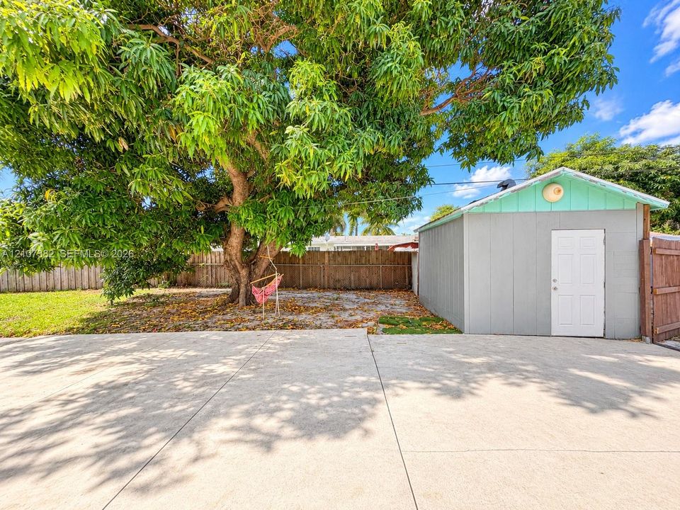 Expansive concrete paved area, detached storage structure with white door, mature tree, and full-height wood fencing