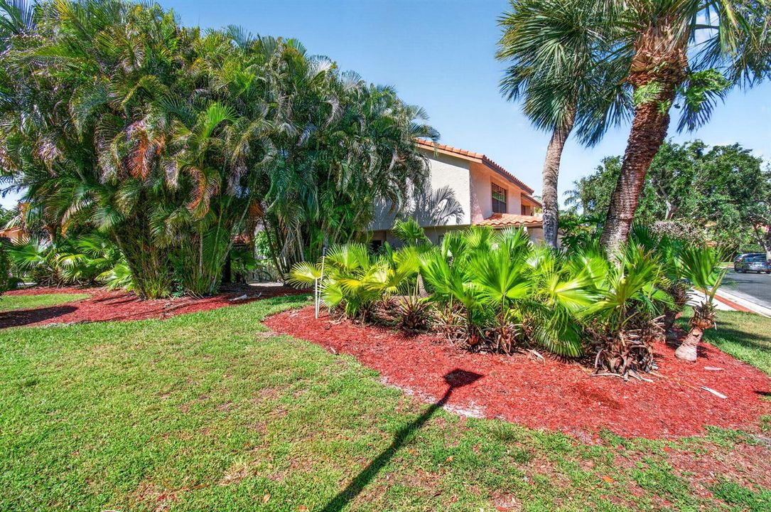 side yard