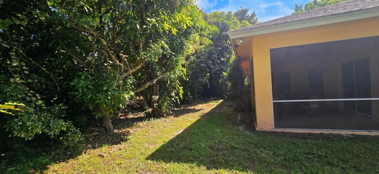 41 - Backyard