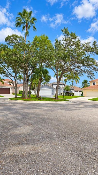 Exterior profile featuring a concrete tile roof, light-toned stucco facade, paved driveway, and mature landscaping with palm trees