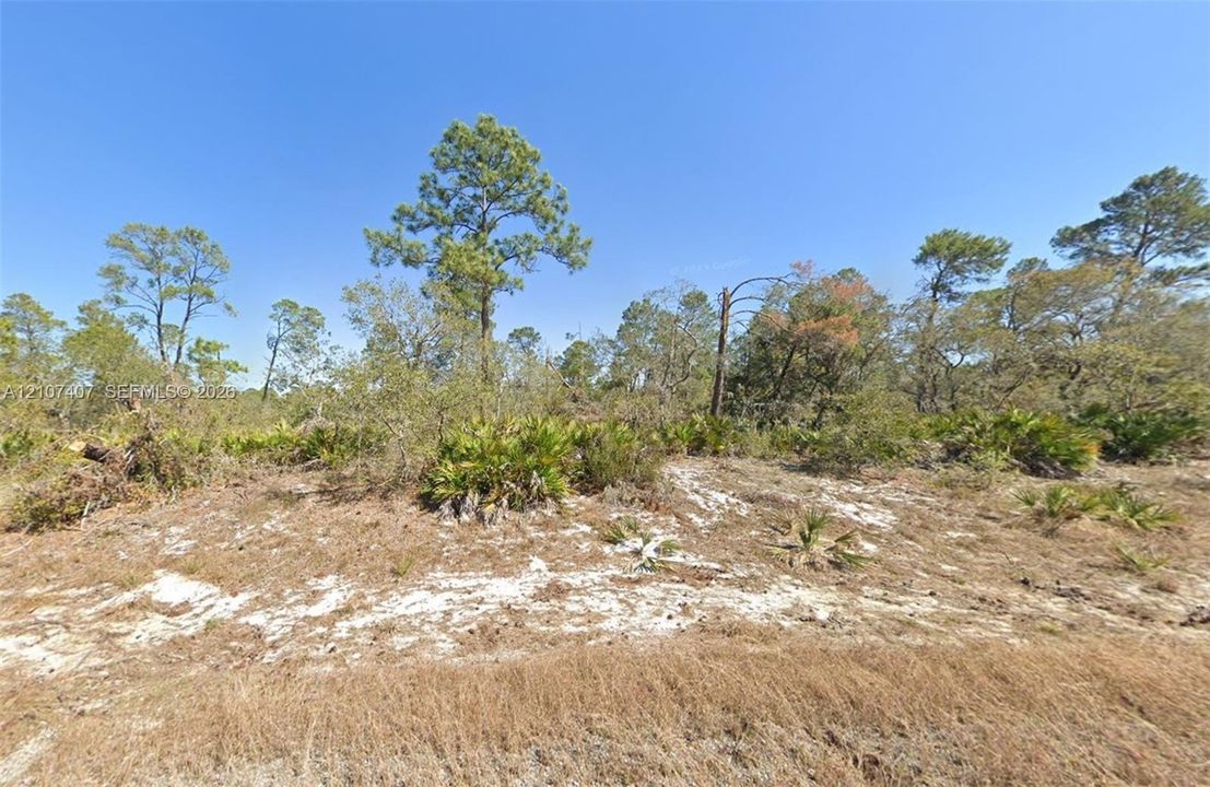 For Sale: $9,000 (0.23 acres)