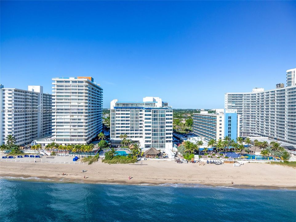 High-rise coastal architecture situated directly along a sandy shoreline with outdoor swimming pools and tropical palm tree landscaping