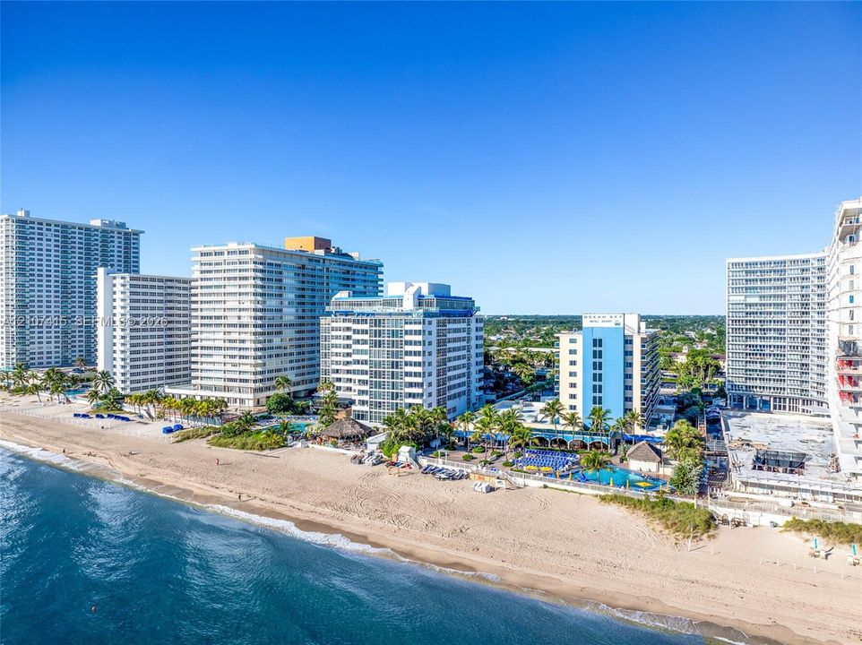 Direct oceanfront access, sandy beach, coastal high-rise exterior, and palm-lined grounds