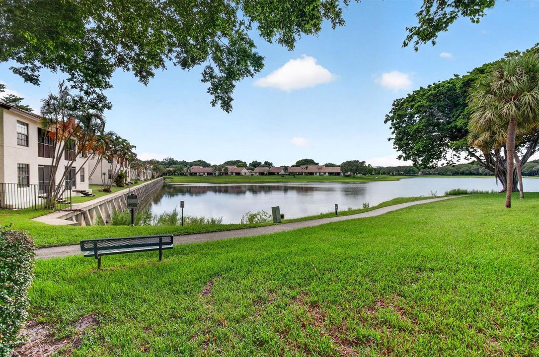 Lovely Lake View