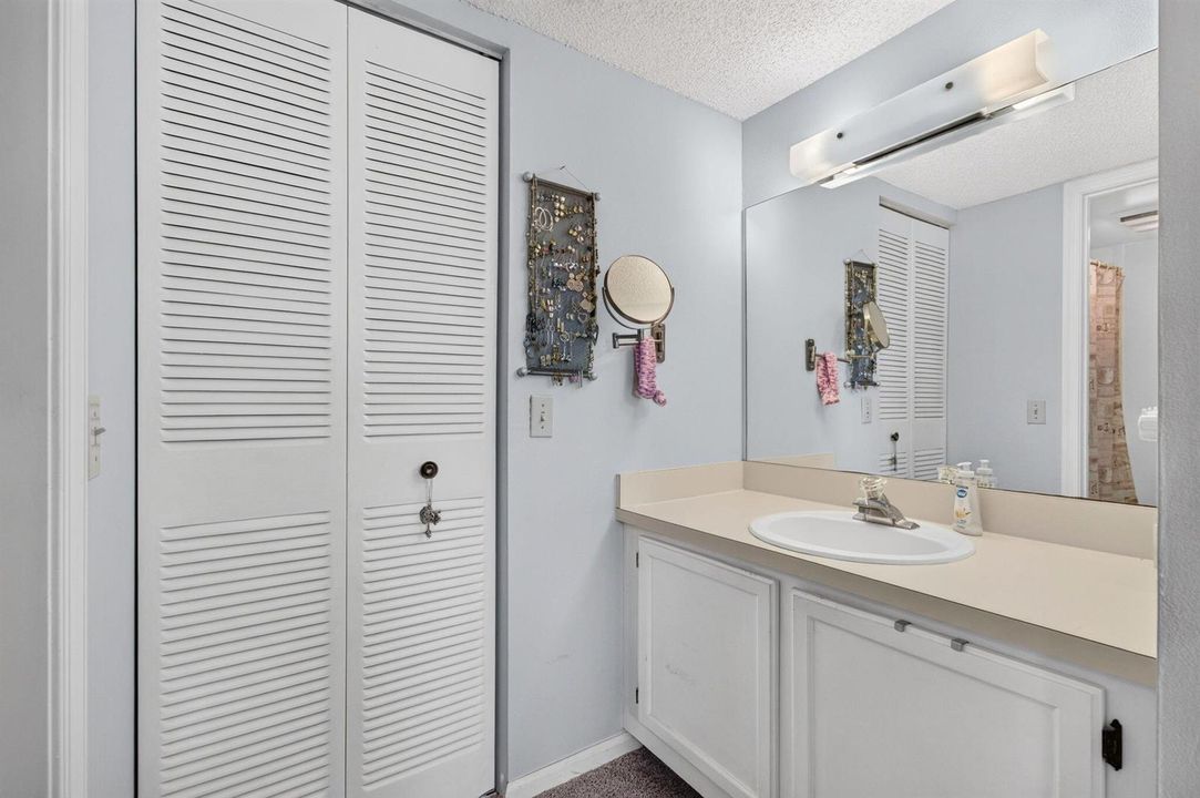 Primary Vanity