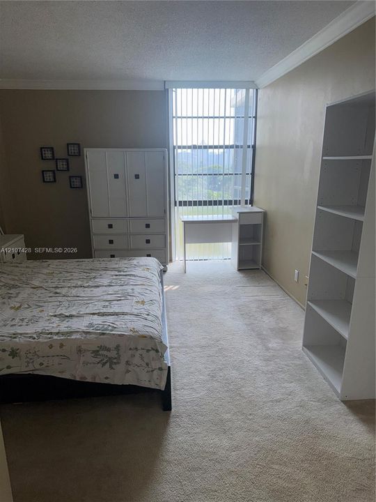 Floor-to-ceiling windows featuring vertical blinds, neutral carpeting, and crown molding