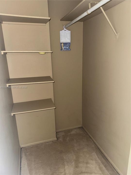 Storage closet featuring carpeted flooring, built-in shelving, and a metal garment rod with an overhead shelf