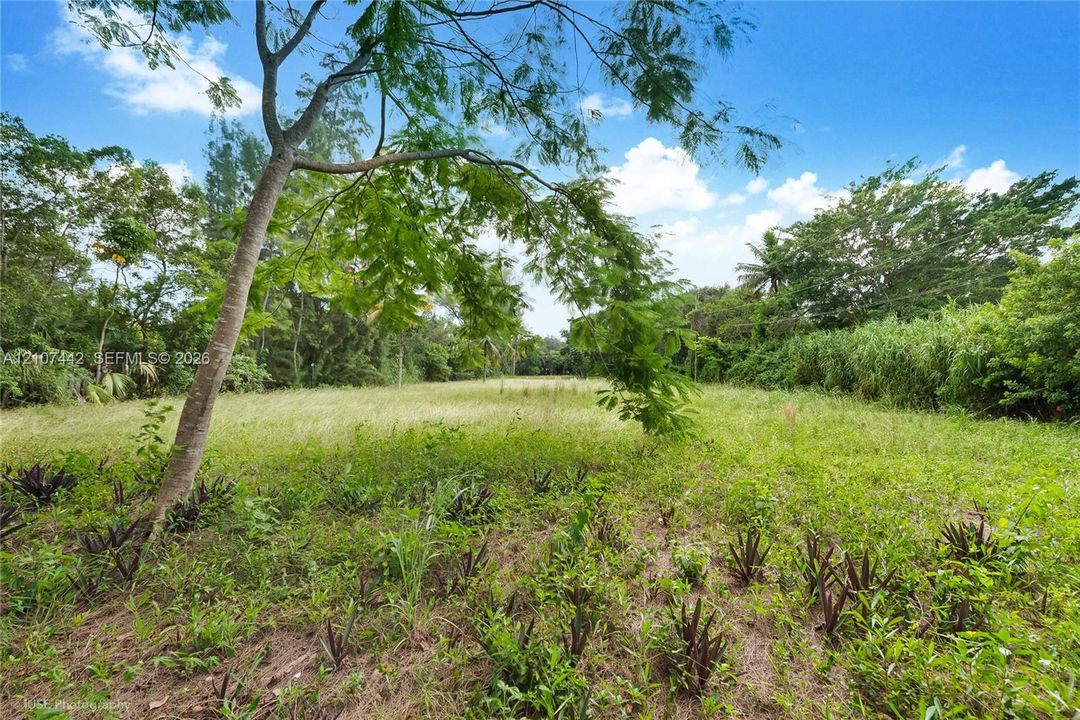 待售: $1,899,000 (1.59 acres)