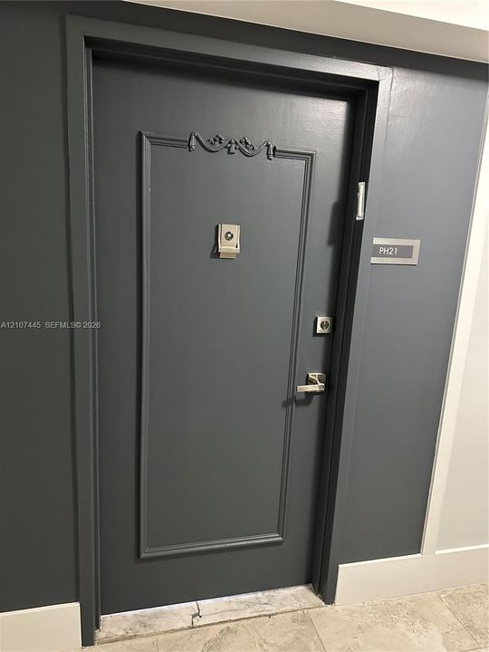 Charcoal-finished entry door featuring classic raised panel molding, decorative millwork detail, a metallic peephole, and a satin-finish lever handle