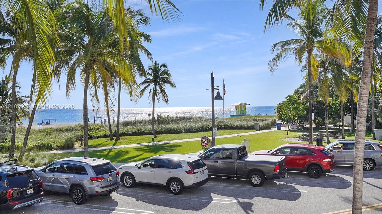 Public park grounds featuring mature palm trees, manicured lawn areas, and direct sandy beach access