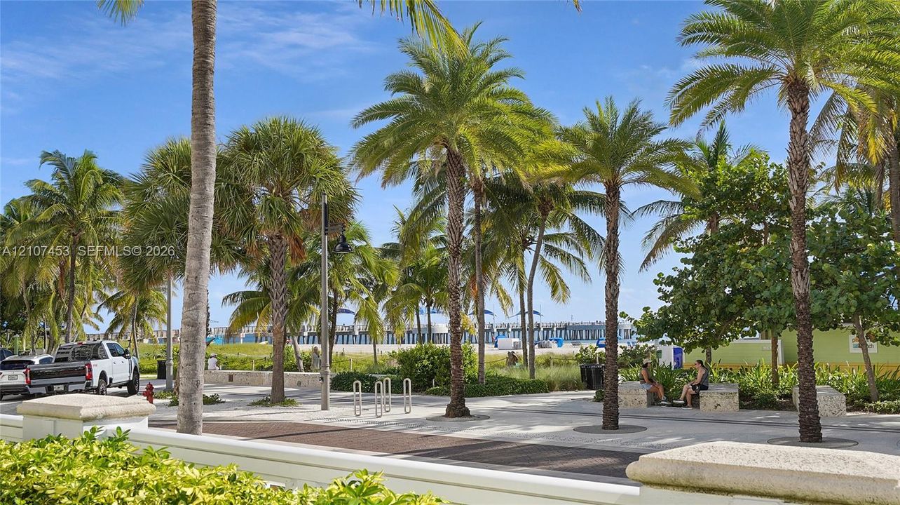 Paved promenade featuring mature palm trees, stone-capped retaining walls, and metal bicycle racks