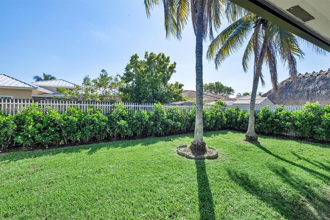 Private backyard featuring a manicured lawn, perimeter hedge landscaping, a white vinyl fence, and established palm trees