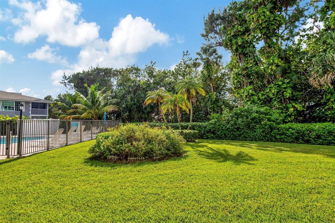 40-web-or-mls-5D1A4199