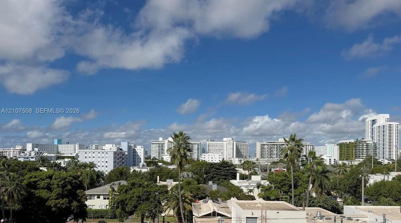 Panoramic urban skyline and established canopy of mature palm and deciduous trees