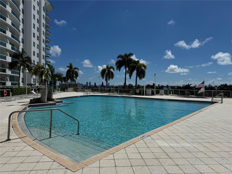 Swimming pool with a paved deck, metal handrails, and surrounding palm trees