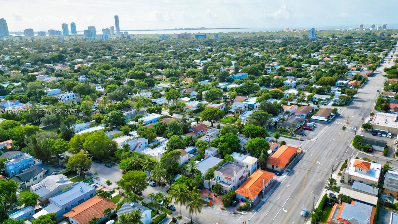 Aerial perspective featuring dense mature tree canopy, varied architectural styles, and proximity to urban skyline and coastal horizon