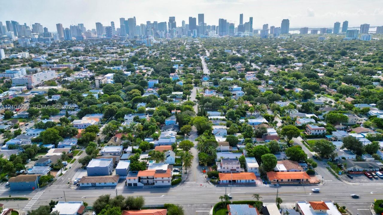 Aerial perspective featuring dense urban canopy and prominent metropolitan skyline