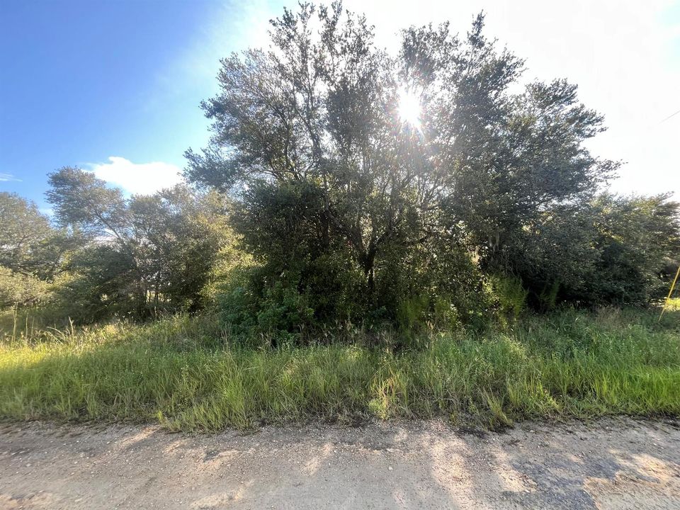 IMG_3841