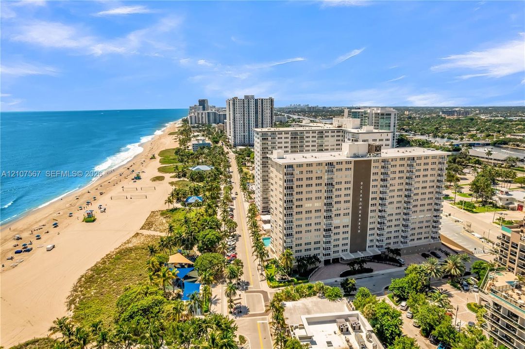 Aerial perspective of coastal high-rise property featuring direct proximity to the ocean, expansive sandy beach, mature palm tree landscaping, and paved parking areas