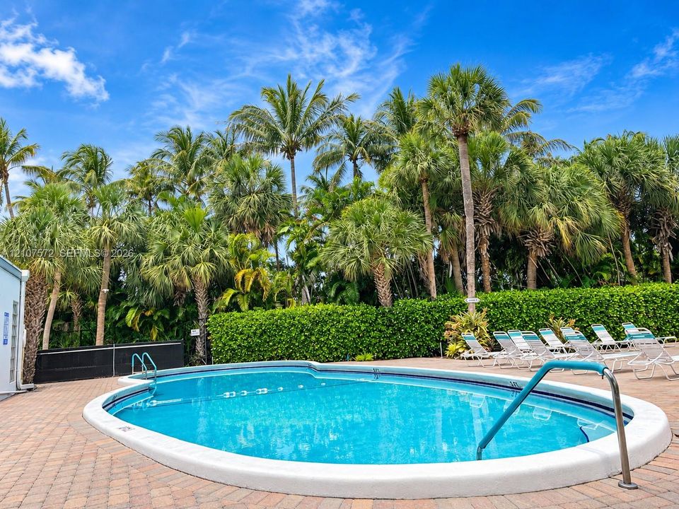 In-ground pool with a paved deck, bordered by mature palm trees and a dense privacy hedge