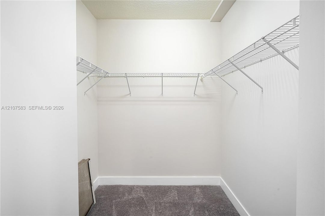Storage area featuring grey carpeted flooring and white coated wire shelving