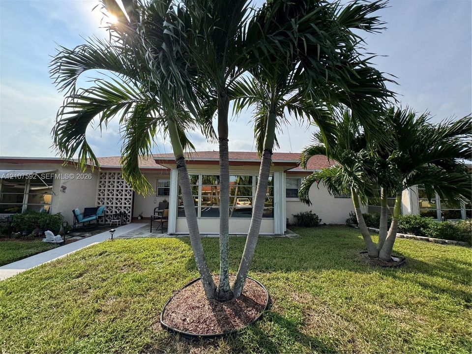 Exterior featuring a concrete walkway, decorative concrete block privacy screen, multi-pane windows, and mature palm trees