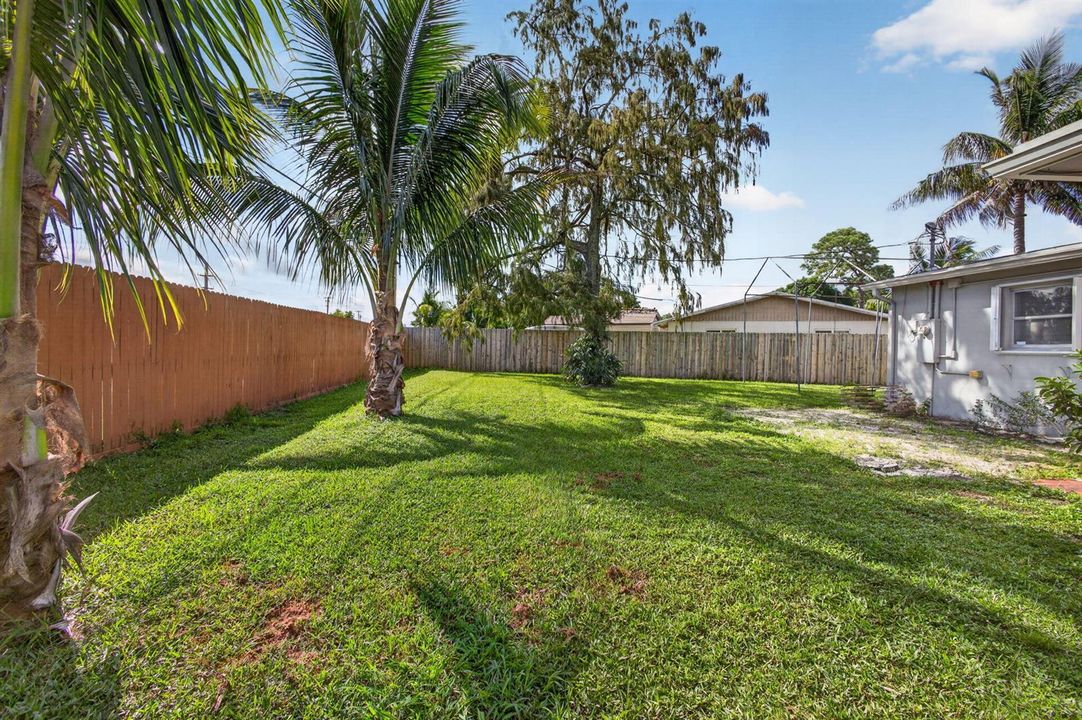 58-web-or-mls-5D1A3676