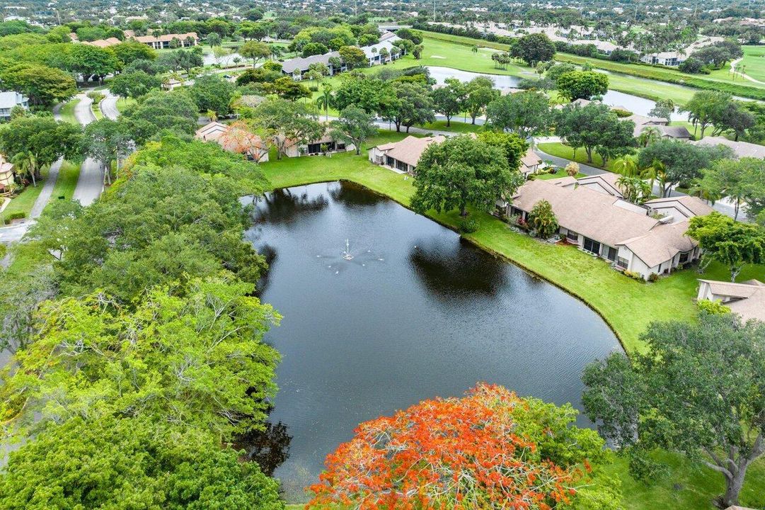 Private Backyard