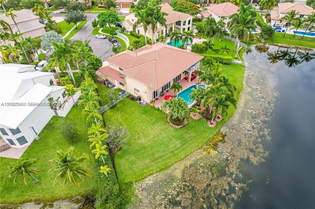 Aerial perspective of a waterfront property featuring a tile roof, an in-ground swimming pool, a stone-paved patio, and established palm landscaping