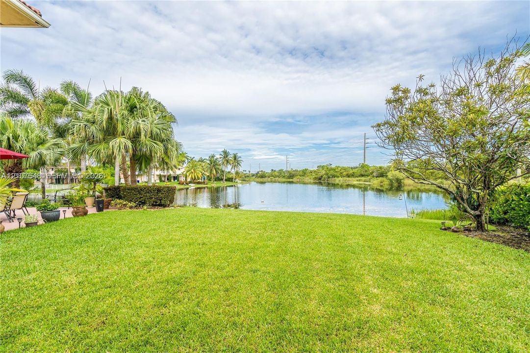 Backyard featuring a manicured lawn, stone patio, mature palm trees, and waterfront access