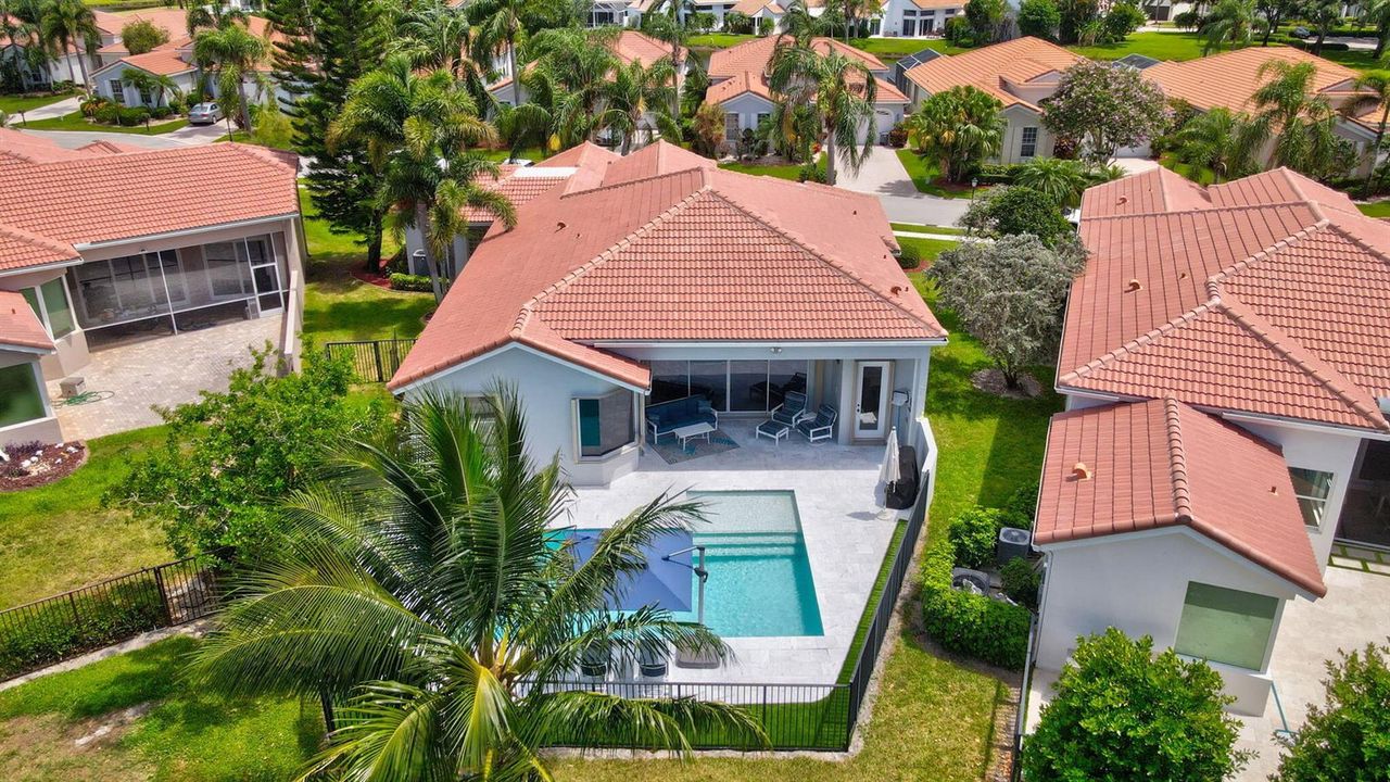 Backyard 7