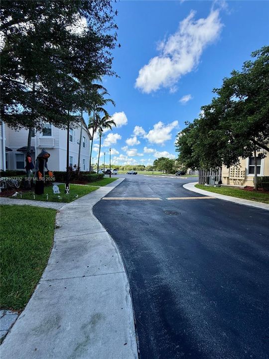Asphalt thoroughfare featuring concrete sidewalks, mature trees, and building exteriors