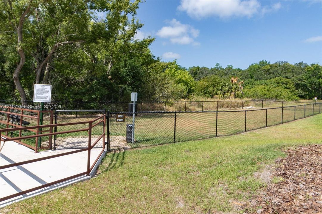 Dog Park