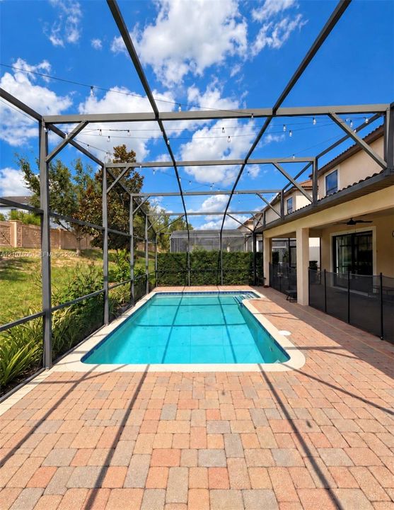 In-ground swimming pool enclosed by a screen cage, featuring brick paver decking, a perimeter privacy hedge, and overhead string lighting