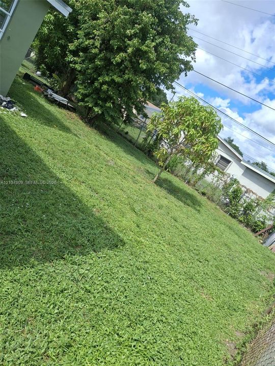 Expansive backyard featuring a grass lawn, mature trees, and perimeter chain-link fencing
