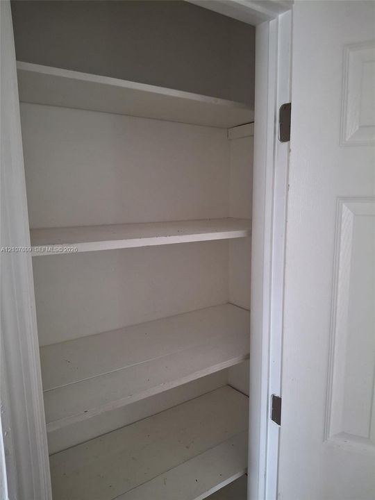 Built-in storage closet featuring four tiered white wooden shelves and a panel door with metal hinges