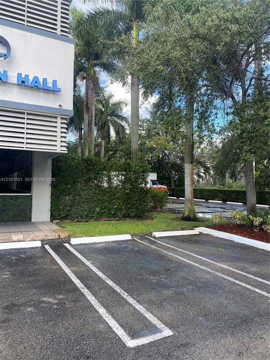 Paved surface parking area featuring painted stall lines, concrete curbing, and integrated landscaping with mature palm and shade trees