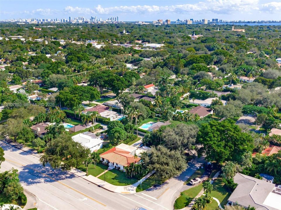 Aerial View of the tree-lined neighborhood