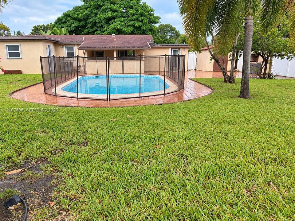 Backyard featuring an in-ground swimming pool with removable mesh fencing, tiled pool deck, and mature palm trees