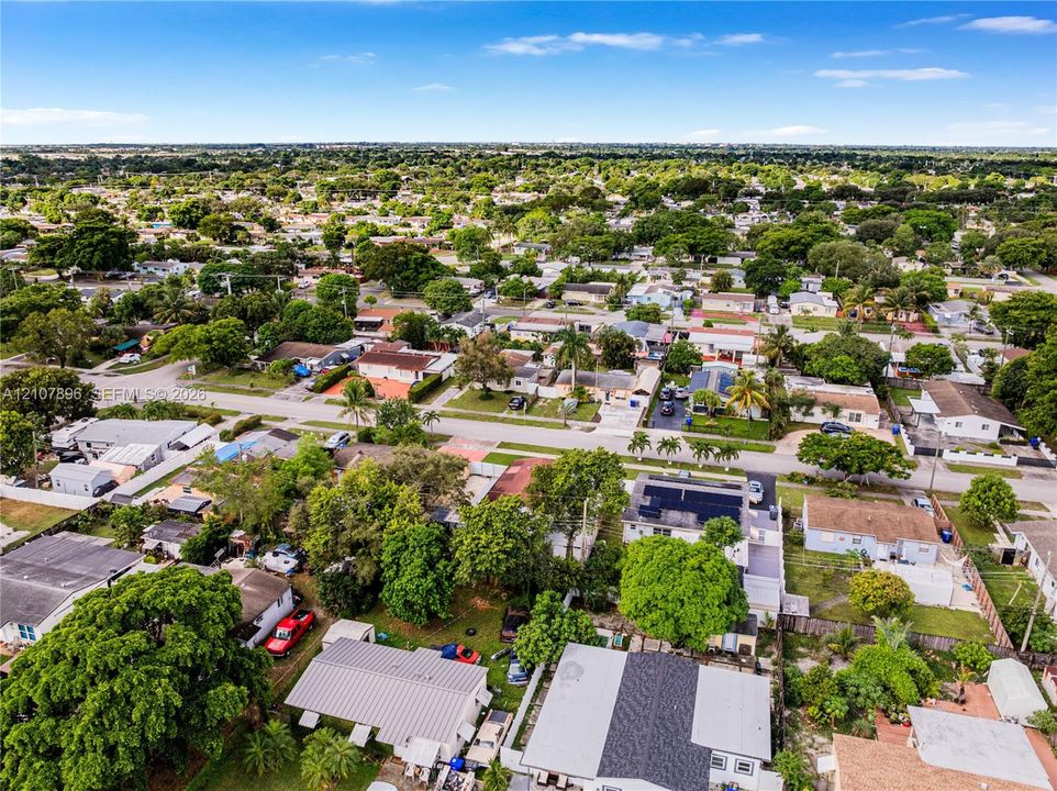 Aerial perspective of a residential neighborhood featuring mature canopy trees, paved streets, and a mix of roof styles