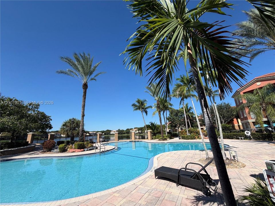 In-ground swimming pool with stone paver decking, mature palm trees, and perimeter fencing