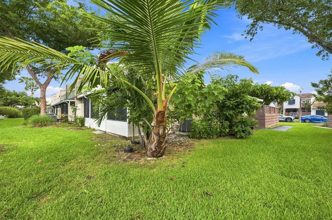 26-web-or-mls-251-w-hemingway-cir