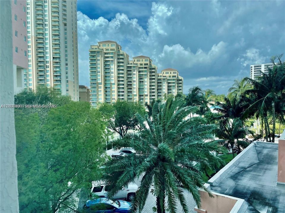 Elevated perspective featuring mature palm trees, dense foliage, and multi-story high-rise architecture