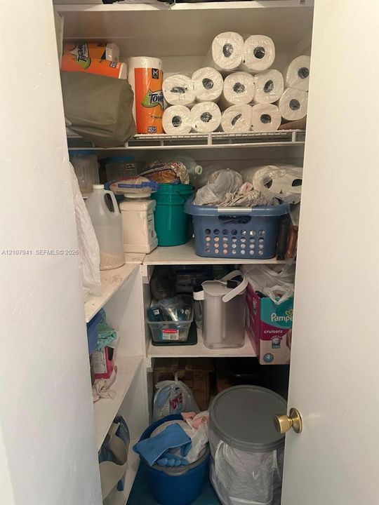 Storage closet featuring white interior shelving and a brass-tone door knob