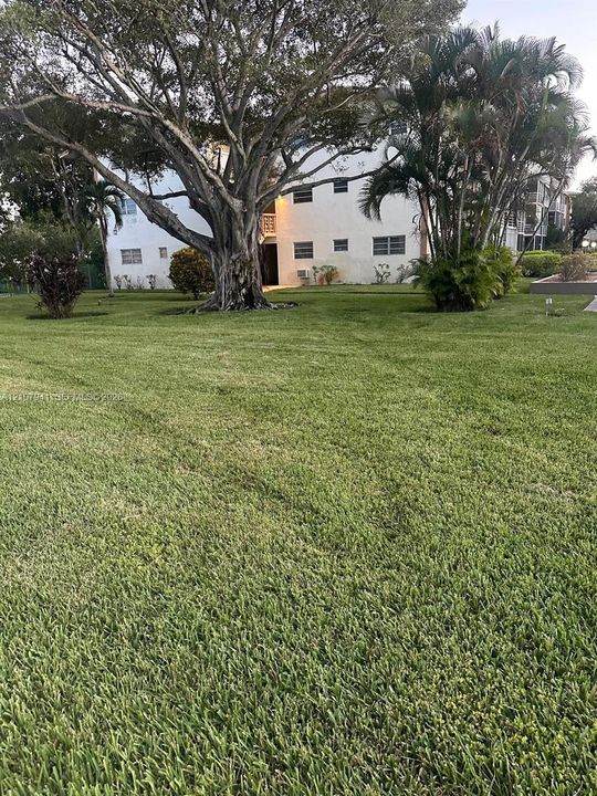 Expansive lawn featuring mature trees and established tropical landscaping